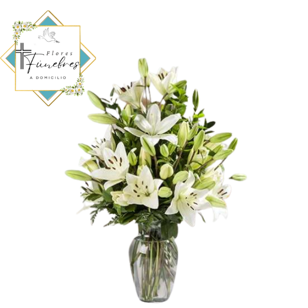 FLORERO SAMARITANO  10 LILIUM ALTO